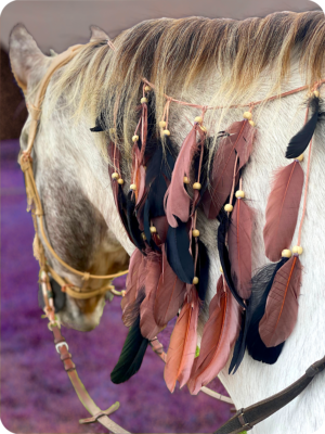 Mähnenschmuck Federn ‚Indian Spirit‘ Schwarz/Braun